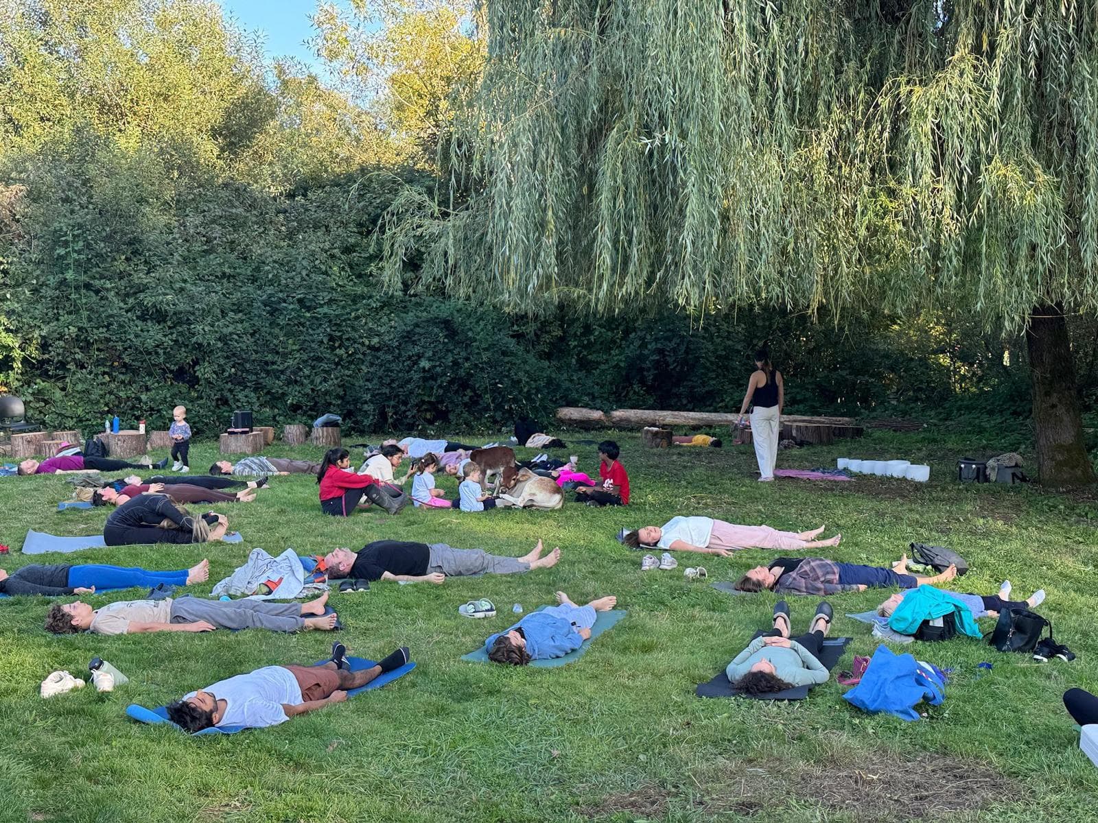 People resting on yoga mats on the grass under a willow tree at an outdoor session, with families and children nearby